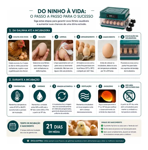 Chocadeira Villa Smart Farm 48 Ovos Galinha Encubadora 220v - Imagem 5